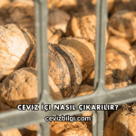 Ceviz İçi Nasıl Çıkarılır?