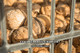 Ceviz İçi Nasıl Çıkarılır?