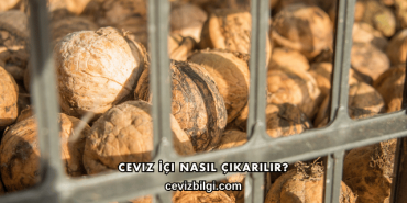 Ceviz İçi Nasıl Çıkarılır?