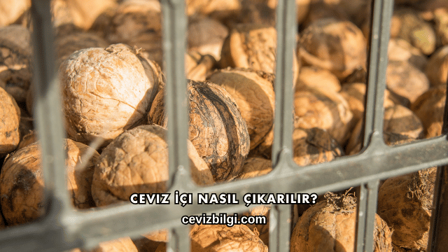 Ceviz İçi Nasıl Çıkarılır?