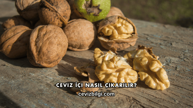Ceviz İçi Nasıl Çıkarılır?