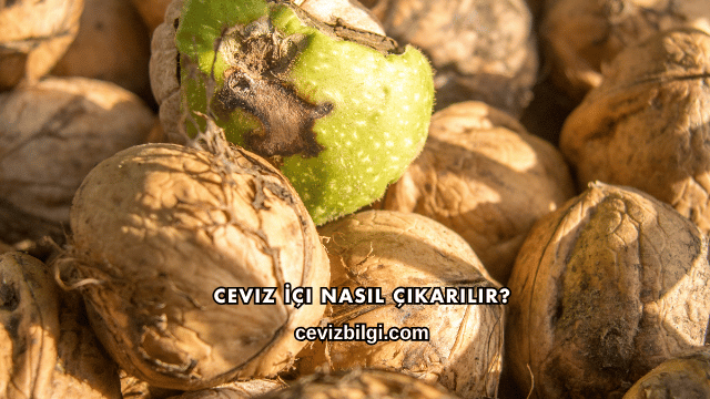 Ceviz İçi Nasıl Çıkarılır?