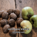 Ceviz Nasıl Kırılır?