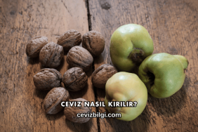 Ceviz Nasıl Kırılır?