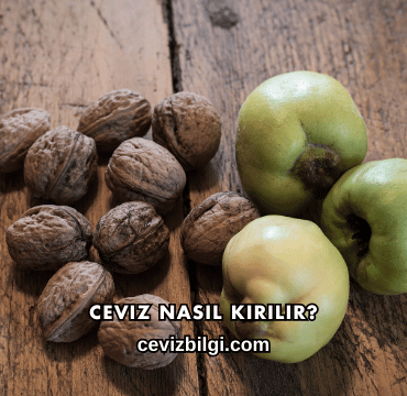 Ceviz Nasıl Kırılır?