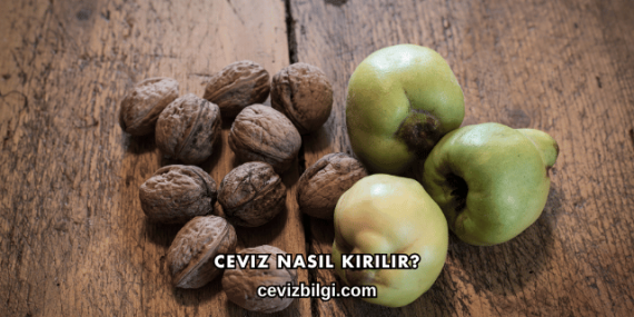 Ceviz Nasıl Kırılır?
