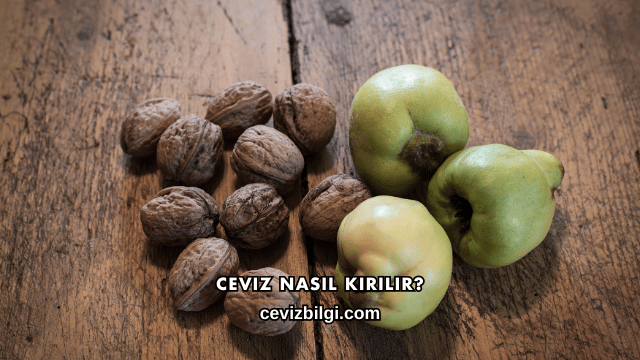 Ceviz Nasıl Kırılır?