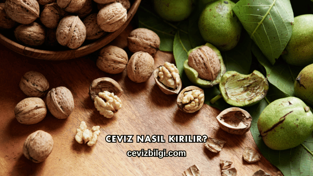 Ceviz Nasıl Kırılır?