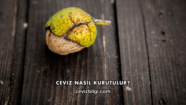 Ceviz Nasıl Kurutulur?