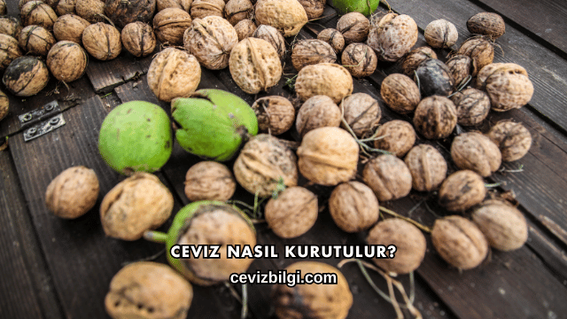 Ceviz Nasıl Kurutulur?