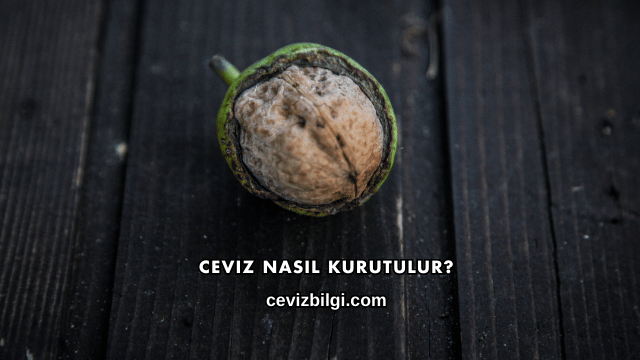 Ceviz Nasıl Kurutulur?